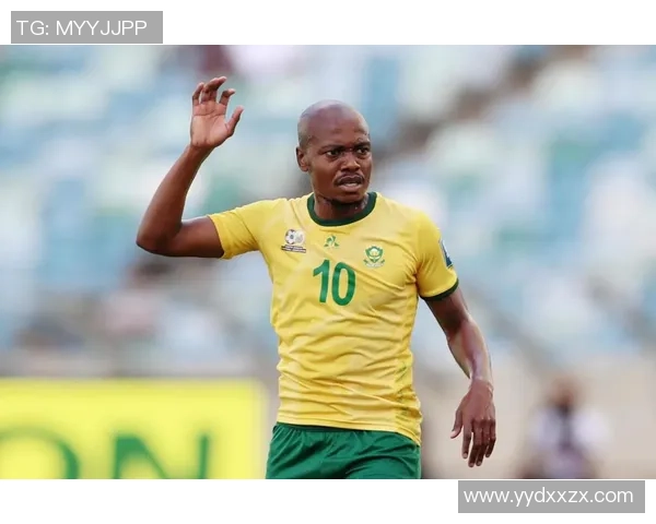 足球俱乐部明星球员全面解析与成长历程深度巡礼