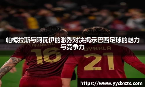 米兰体育官网